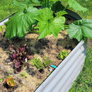 1 Pack 8x3x1.5FT Galvanized Raised Garden Bed Kit Oval Metal Ground Planter Box Outdoor Bottomless Planter Raised Beds for Vegetables Flowers Herbs Fruits, Gray by CozyNest Decor