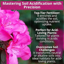 8-4-8 Acidic Fertilizer for Azaleas, Camellias (Camelia), Hydrangeas, Blueberries, Gardenias, Magnolia Trees, Evergreens, and Rhododendrons - Ideal Iron-Rich Plant Food (3 QUARTS) by GreenHaven Gardens