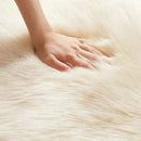 AMTOVO Faux Fur Rug, Beige Area Rug, Fluffy Sheepskin Rug, Fuzzy Ultra Soft 2 x 4 ft Shag Rugs for Bedroom Sofa Throw Cushion Room Decor, Sheepskin by CozyNest Decor