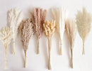 130 PCS Dried Pampas Grass Bouquet, Boho Table Decor, Bunny Tails Dried Flowers, Brown Pampas, Fluffy Pompas, White Pampas Grass for Weddings, Home Decor, Rustic Parties, and Baby Shower Decorations by CozyNest Decor