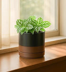 D'vine Dev 3.5 Inch & 4.7 Inch Ceramic Planter Pots for Plants with Drainage Hole and Saucer, X-Small Plant Pots Set, Black/Speckled Tan, 94-G-XS-7 by GreenHaven Gardens