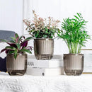 4.5 Inch 2 Pcs Self Watering Hanging Planter Indoor Plant Pots Drainage Holes, Outdoor Small Hanging Planters Flower Pot Basket, Visible Water Level, Plant Hanger Home Decor, Gardening by GreenHaven Gardens
