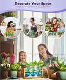 Nacome Plant Terrarium for Office Decor: Wooden Stand Tabletop Planter 3 Bulb Glass Vase Heart Shaped for Hydroponics Indoor Home - Birthday Gifts for Women Mom Grandma by GreenHaven Gardens