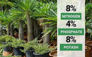 8-4-8 Professional Palm Tree Fertilizer Plant Food; for Indoor Potted Plants and Outdoor Landscape Palm Trees; Quick-Release Nitrogen Fertilizer and Continuous Feeding (4 QUARTS) by GreenHaven Gardens