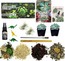Cute Farms Terrarium Starter Kit | Moss, Vermiculite, Soil, Pebbles, Plant Food, & Finishing Tools (Medium Kit + Live Plants) by CozyNest Decor