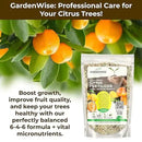 Professional Citrus Fertilizer + Vital Micronutrients; Perfect Balanced NPK for All Citrus; for Indoor and Outdoor Plants; Orange, Lime, Avocado and Lemon Tree Fertilizer (1/2 Quart) by GreenHaven Gardens