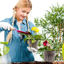 3.9-9.4 Inch Big Size Clear Nursery Pots with Drainage, 6 Sizes 30 Packs Nursery Garden Pots with 30 Plant Labels for Seedling Plants, Nursery Pots Variety for Indoor Outdoor Seed Starter Flower Pots by GreenHaven Gardens