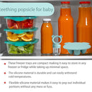 Baby Food Freezer Tray and Teething Popsicle Molds – The Perfect Solution for Your Little One's Teething and Feeding Needs by TinyTreasures Baby Boutique