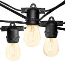 Hometown Evolution, Inc. 100' E26 Commercial Edison Bulb Outdoor String Lights (100 Foot 50 Socket, S14 Lantern Edison 11 Watt Light Bulbs) by GreenHaven Gardens