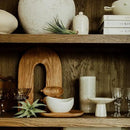Air Plants - Loki Gift Box - 9ct - Live Arrival Guaranteed - House Plants for Home Decor & Gift by GreenHaven Gardens