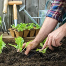 Aodaer 193 Pack Seed Starter Kit Including Seed Starter Tray Peat Pots for Seedlings with Plant Labels, Tool, Plastic Growing Trays Germination Tray Paper Seedling Cups for Indoor Outdoor Garden by GreenHaven Gardens