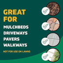 Spruce Weed Killer Refill - Versatile Weed & Grass Killer₂ for Flower Beds, Driveways & Mulch Beds - No Pour, No Mix, No Mess Refill - Kills Dandelions, Crabgrass & More (64 Oz) by GreenHaven Gardens