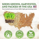 HOME GROWN 30,000+Cat Grass Seeds (6oz) 𝗡𝗢𝗡-𝗚𝗠𝗢 𝗨𝗦𝗔 Heirloom Barley & Oat Mix – Refill for Indoor Cat Grass Growing Kit – Safe Healthy Green Grass for Cats – Pet Grass for Eating & Digestion by GreenHaven Gardens