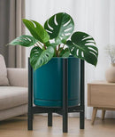D'vine Dev Ceramic Planter with Ebony Stand - 12 Inch Modern Round Flower Pot with Wood Planter Holder, Teal, 55-B-H-4 by CozyNest Decor