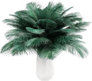 THARAHT Blackish Green Ostrich Feathers 12pcs Natural Bulk 8-10Inch 20cm-25cm for Crafts Wedding Party Centerpieces Mardi Gras Decoration Feather by CozyNest Decor