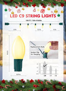 C9 LED Christmas Lights Outdoor, 100 Feet C9 String Lights with 100 Shatterproof Matte Bulbs, Connectable Waterproof Christmas Tree Lights for Holiday Roofline Backyard Garden Decor, Warm White by GreenHaven Gardens