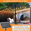 150FT Solar String Lights for Outside, Solar Powered Patio Lights with 52 Shatterproof ST38 Edison Bulbs & Remote Control,Dimmable LED Solar String Lights for Outside Waterproof by GreenHaven Gardens