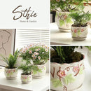 Ceramic Plant Pots with Drainage Holes and Saucers, Round Flower Pots for Indoor Plant, 3.9/5.2/6.7 Inches Small Flower Planters Set of 3 by GreenHaven Gardens