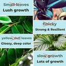 Big Green Leaves | Superfood Houseplant Fertilizer, Indoor Plants - Water Soluble Plant Food + Organic Kelp | 4X More Concentrated | 12-4-8 NPK (1LB) by GreenHaven Gardens