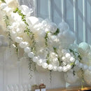 Clear Quick Link Balloons, 100PCS 6 Inch Small Bubble Linking Balloons for Making Balloon Wall Heart Arch, Tails Balloon for Wedding Birthday Baby Shower Engagement Graduation Party Decorations by CozyNest Decor