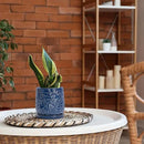 D'vine Dev 6 Inch Embossed Leaves Stoneware Planter Pot with Drainage Hole and Saucer, Midnight Blue, 27-A-X-3 by GreenHaven Gardens