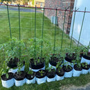 Garden Plant Stakes 48 Inch 4Ft Steel Plant Stick Support, 25 Pack Tomato Stakes for Growing Climbing Plants, Potted Plants, Tomatoes, Trees, Cucumber, Beans, Fences Poles by CozyNest Decor