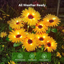 4 Pack Outdoor Solar Garden Lights with 16 Glowing Daisy Flowers & Stems, Waterproof Auto ON/Off Solar Flowers Lights for Yard Patio by GreenHaven Gardens