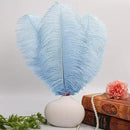 THARAHT Baby Blue Ostrich Feathers 12pcs Large Natural Bulk 16-18Inch 40cm-45cm for Wedding Party Centerpieces Easter Gatsbi and Home Decoration Feathers by CozyNest Decor