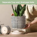 8 Inch Plant Pot: Ceramic Planter with Drainage Hole & Saucer - Cylinder Flowerpot for Indoor & Outdoor Plants - with Separate Tray for Home & Office - Striped Design by GreenHaven Gardens