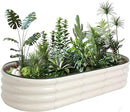 Galvanized Raised Garden Bed Kit Outdoor Metal Garden Planter Box for Backyard Gardening, Planting Vegetables, and Patio (59"x23.6"x11.8") by GreenHaven Gardens