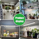 Two Strip Growing Lamp 2-Pack for Indoor Plants, 3000K Full Spectrum LED Grow Light Strips with Auto ON/Off 3/9/12H Timer & 10 Dimmable Levels for Green House Succulent (2 Head×2pcs) by GreenHaven Gardens