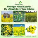 Outsidepride White Mustard Seeds for Planting - 5 lb Annual Cover Crop Seeds w/Deep Root System, High Protein Forage, Ideal for Soil Fertility, Crop Rotations, & Livestock Nutrition by GreenHaven Gardens