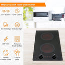 Kenyon Mediterranean 2-Burner Small Cooktop, Electric Cooktop for Energy-Efficient Cooking, Knob Control, Portrait Cooktop, 208-Volt, Black by GreenHaven Gardens
