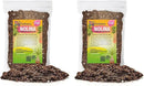 Nolina Plant Potting Soil - All-Natural Blend for Thriving Nolina Plants - Boosts Root Health and Distinctive Form - 10 Quart by GreenHaven Gardens