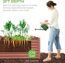Best Choice Products 8x2x2ft Outdoor Metal Raised Garden Bed, Rectangular Deep Root Planter Box for Vegetables, Flowers, Herbs, and Succulents w/ 239 Gallon Capacity - Terracotta by GreenHaven Gardens