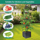Raised Garden Bed Planter Box with Trellis, 58”Tomato Planter with Trellis for Climbing Plants Vegetables Vine Flowers, Self-Watering Tomato Cage for Garden Patio Outdoor & Indoor by GreenHaven Gardens