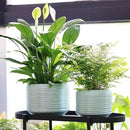 8 Inch + 6 Inch Ceramic Plant Pots Indoor with Drainage – Flower Pot Set, Decorative Indoor Planters for House Plants and Garden Use by CozyNest Decor
