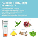 Himalaya Botanique Anticavity Fluoride Toothpaste, Fluoride with Multi-Benefit Support, Fights Cavities, Strengthens Enamel, Promotes Remineralization, Mint Flavor, 4 oz. by CozyNest Decor
