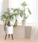 D'vine Dev 12 Inch Planter Pot with Stand, Mid-Century Tall Plant Pot with Legs for Indoor Plants, Large, White, 88-O-C-1 by GreenHaven Gardens