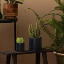 D'vine Dev 3.5 Inch & 4.7 Inch Ceramic Planter Pots for Plants with Drainage Hole and Saucer, X-Small Plant Pots Set, Black, 94-G-XS-2 by GreenHaven Gardens