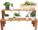 Sunnydaze 2-Tier Meranti Outdoor Wood Plant Stand - Indoor Plant Bench with Teak Oil Finish - 24-Inch by GreenHaven Gardens