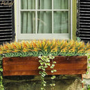 32 Pcs Artificial Grass Fake Plants 17.3in Outdoor Plastic Plants UV Resistant Greenery Fake Grass for Home Window Garden Office Patio Hanging Planter Pathway Front Porch Décor Orange Yellow by GreenHaven Gardens