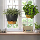 ZMTECH 12 Inch Hanging Planters for Indoor Outdoor Plants, 2 Pack Self Watering Hanging Plant Pots with Drainage Hole, Visual Reservoir, Plastic Flower Hanging Pots with Watering Lip (Black) by CozyNest Decor