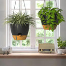 ZMTECH 12 Inch Hanging Planters for Indoor Outdoor Plants, 2 Pack Self Watering Hanging Plant Pots with Drainage Hole, Visual Reservoir, Plastic Flower Hanging Pots with Watering Lip (Black) by GreenHaven Gardens