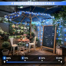 JMEXSUSS Connectable Blue and White Christmas Lights, 8 Modes 100 LED Twinkle String Lights Indoor, Clear Wire Plug-in Christmas String Lights Outdoor Waterproof by GreenHaven Gardens
