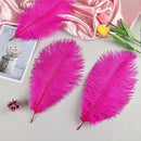 THARAHT Hot Pink Ostrich Feathers 12pcs Natural Bulk 10-12Inch 25cm-30cm for Crafts Wedding Party Centerpieces Easter Gatsbi and Home Decoration Feathers by CozyNest Decor