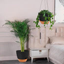 GARDIFE Large Hanging Planter, 12 inch Hanging planters for Indoor. Outdoor Plants, Self Watering Plant Pot, Plant Hanger, Black by CozyNest Decor