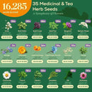 35 Medicinal & Tea Herb Seeds Variety Pack - 16,285+ Non-GMO Heirloom Herbs Seeds for Planting Indoor & Outdoor: Lavender, Rosemary, Echinacea, Mint, Catnip, Basil - Gardening Seed Packets by GreenHaven Gardens
