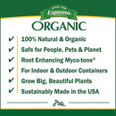 Espoma Organic Cactus Potting Soil Mix, Natural & Organic Soil for Cactus, Succulent, Palm, and Citrus Grown in containers Both Indoors and Outdoors, 8 qt, Pack of 2 by GreenHaven Gardens