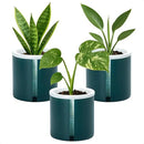 D'vine Dev 4 Inch Design Self Watering Planter for Indoor Plants, White Terracotta Pot with Teal Cylinder Glass Cup, Set of 3,37-Z-A-5-T by GreenHaven Gardens